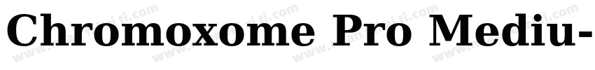 Chromoxome Pro Mediu字体转换